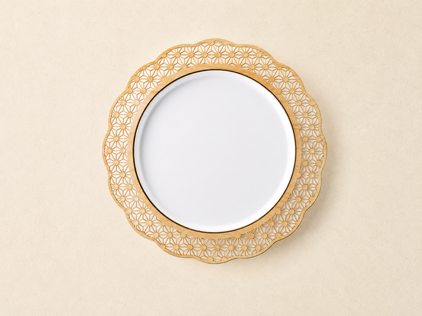 料理プレート（陶器付）
